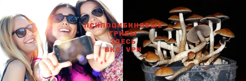 магазин  наркотиков  blacksprut зеркало  Псилоцибиновые грибы Magic Shrooms  shop официальный сайт  Любань 