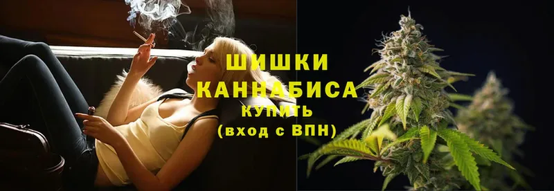 Каннабис SATIVA & INDICA  Любань 